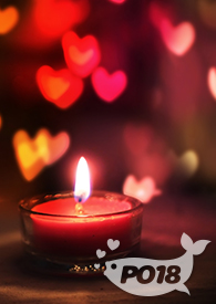 ［海贼王］为了赚钱我被迫下海（nph）